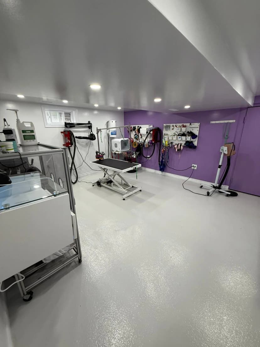 Sanitized professional pet grooming studio Kitchener