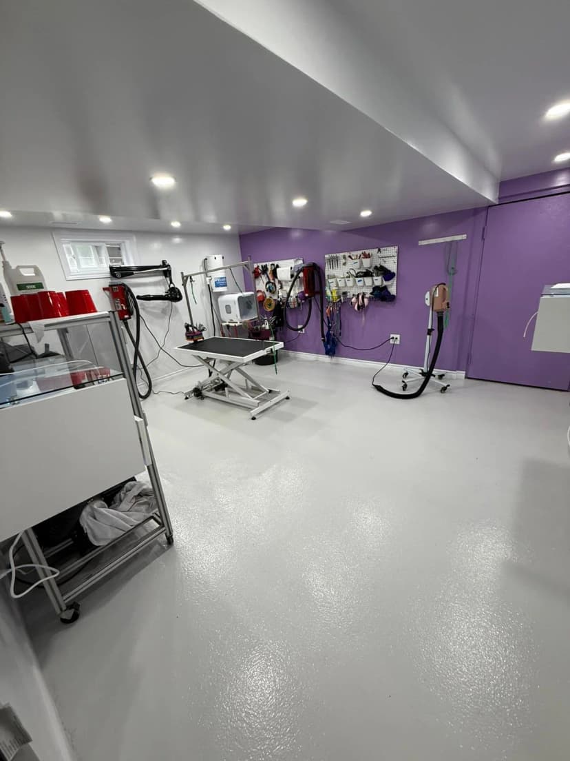 Modern dog grooming equipment Waterloo Ontario