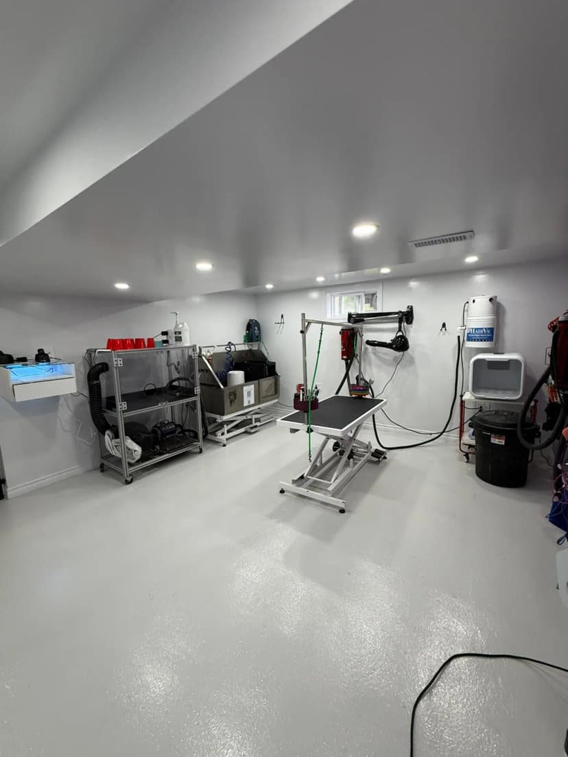 Stress-free crate-free pet waiting area Kitchener